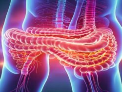Waspada! Gejala Radang Usus yang Tak Boleh Diabaikan: Apa Bedanya Crohn vs Kolitis…