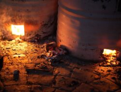 Waspada! Bahaya Mematikan Air Bekas Cucian Mengendap di Ember—Risiko Infeksi &…